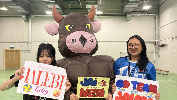 <p>Volleyball&nbsp;mascot</p>