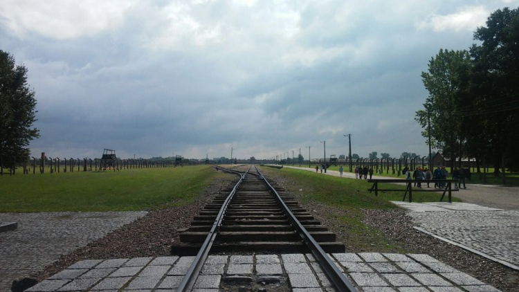 <p>Auschwitz concentration camp</p>