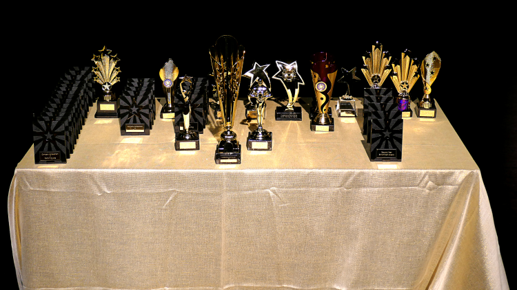 <p>&nbsp;The PAPAs Awards</p>