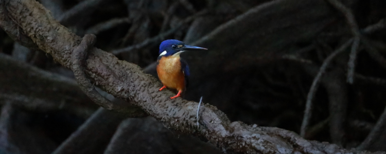 Winning Photography image